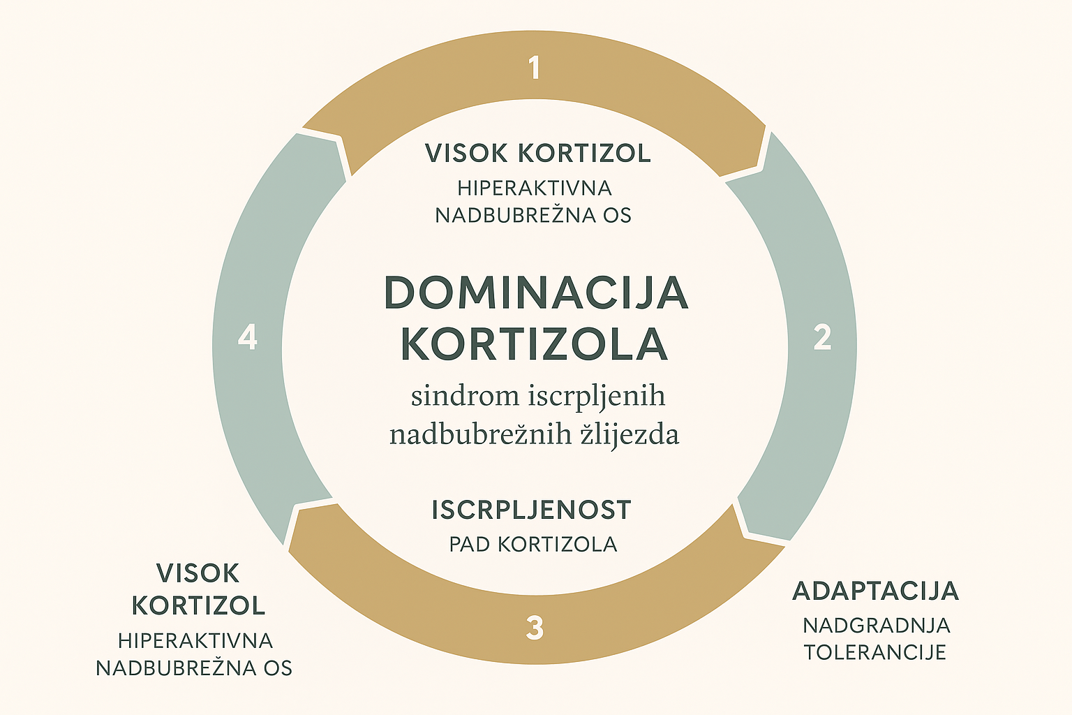 Dominacija kortizola